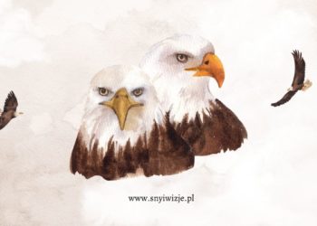 Orzeł i nasza prawdziwa bajka - snyiwizje.pl