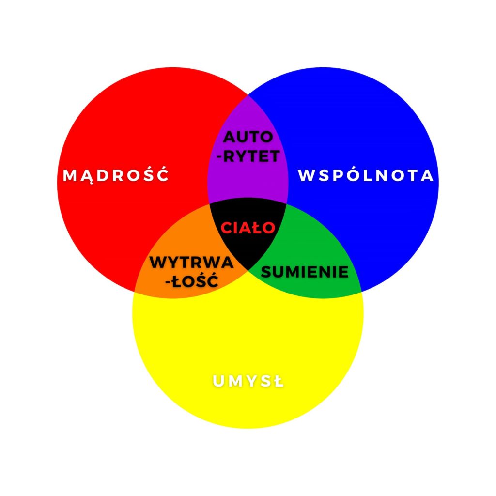 Rysunek 5. Synteza artystyczna (Ciało) - snyiwizje.pl